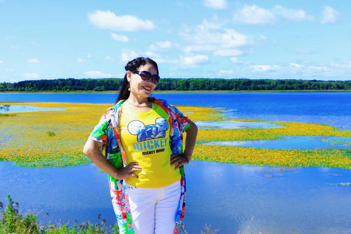 17.c.13.nom—17.c-起草视的背景与历史事